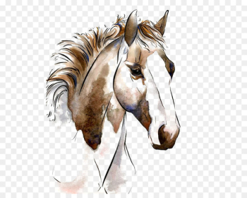 American Paint Horse Watercolor painting Horses in art Equestrianism - horse 