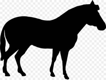 American Quarter Horse, Mare, Animal Silhouettes, Horse, Mammal PNG