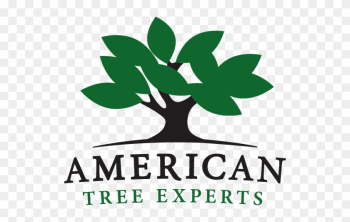 American Tree Experts - American Tree Experts Inc American Tree Experts - American Tree Experts Inc