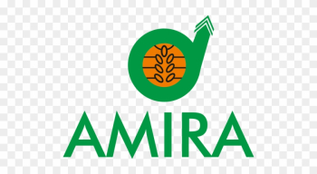 Amira Nature Foods Ltd Announces It Is A Gold Sponsor - First American Equipment Finance Logo