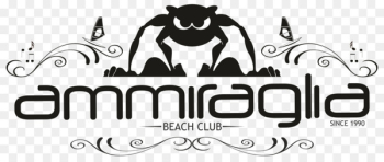 Ammiraglia Beach Club Drink Restaurant Beach volleyball - blue marlin ibiza beach club 