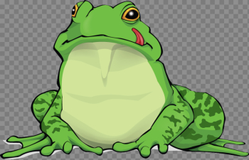 Amphibian Free Download Amphibian Free Download