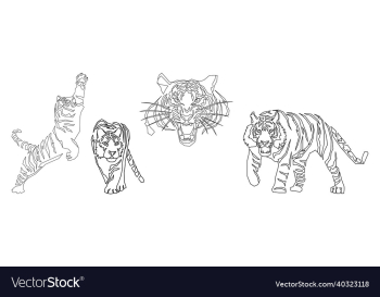 an aggressive tiger set new year christmas 2022 an aggressive tiger set new year christmas 2022