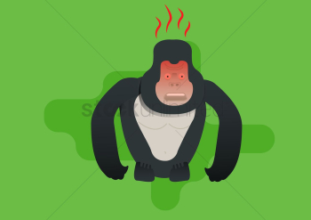 An angry gorilla