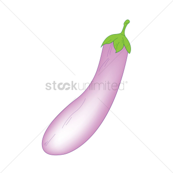 An eggplant An eggplant