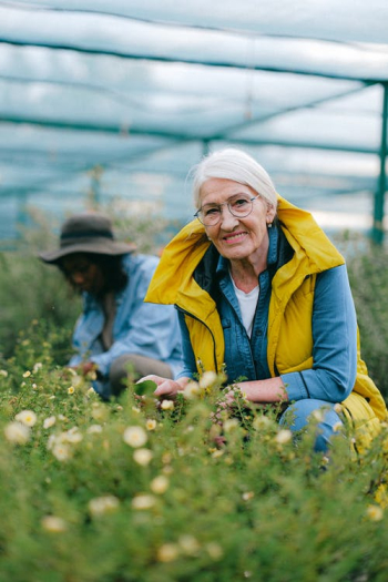 An Elderly Woman Gardening · Free Stock Photo An Elderly Woman Gardening · Free Stock Photo