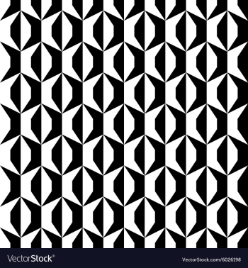 An elegant black and white pattern vector image An elegant black and white pattern vector image