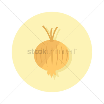 An onion An onion