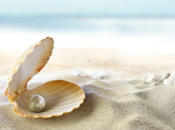 An open shell with a pearl. An open shell with a pearl.