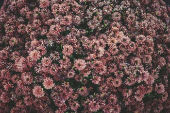 An overhead shot of a bed | Free Photo - rawpixel