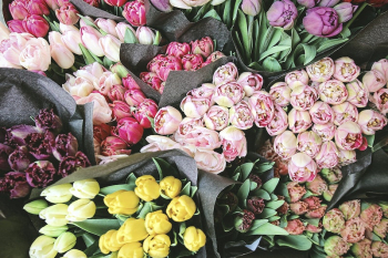 An overhead shot of many-colored | Free Photo - rawpixel