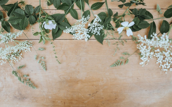 An overhead shot of various | Free Photo - rawpixel