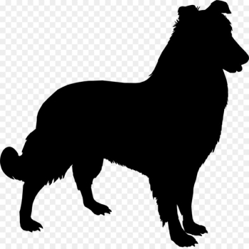 Anatolian Shepherd Yorkshire Terrier Sheltie German Shepherd Pet -  