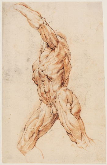 Anatomical Study (écorchés). | Free Photo - rawpixel Anatomical Study (écorchés). | Free Photo - rawpixel