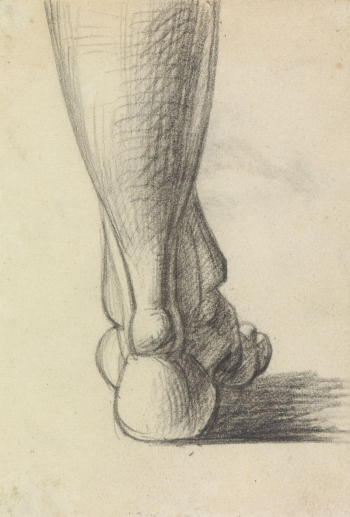 Anatomical Study of the Heel | Free Photo - rawpixel Anatomical Study of the Heel | Free Photo - rawpixel