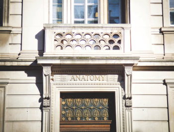 Anatomy Building Anatomy Building