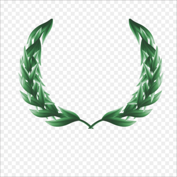 Ancient Greece Olive branch Google Images - Olives Ancient Greece Olive branch Google Images - Olives