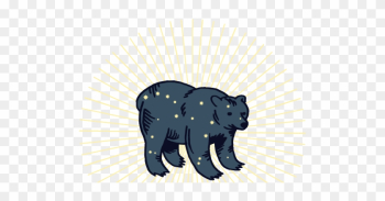 Andrew Hallal Is A Licensed Massage Therapist And A - American Black Bear Andrew Hallal Is A Licensed Massage Therapist And A - American Black Bear