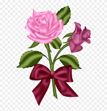 Andy-video На Яндекс - Rose Andy-video На Яндекс - Rose