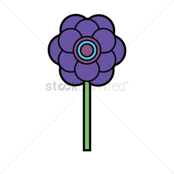 Anemone Anemone