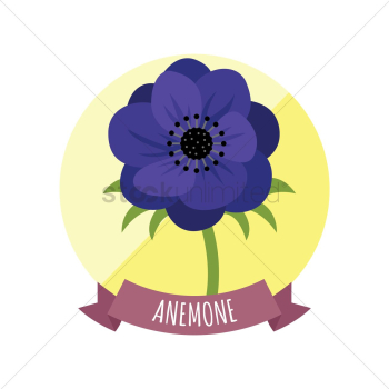 Anemone Anemone