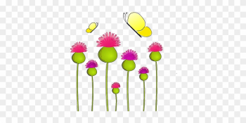 Anemone Nature Thistle Lady Wild Plant Flo - Flower Anemone Nature Thistle Lady Wild Plant Flo - Flower