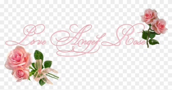 Angel Rose Angel Rose