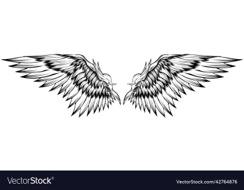 angel wing design angel wing design
