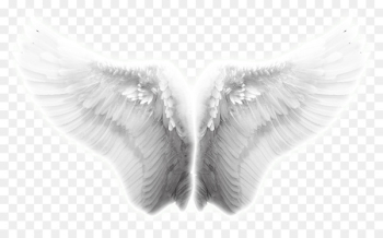 Angel wing Icon - Wings, angel wings, Taobao creative wings effects 