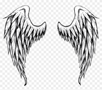 Angel Wings Drawing Angel Wings Drawing
