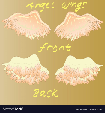 Angel wings set vector image Angel wings set vector image