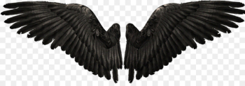 Angel YouTube Clip art - Devil Wings Angel YouTube Clip art - Devil Wings