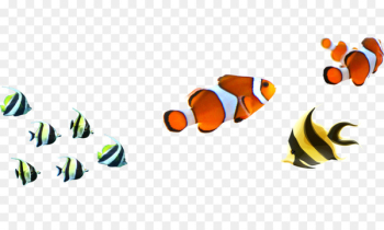 Angelfish Clownfish Clip art - Fish Pictures Angelfish Clownfish Clip art - Fish Pictures