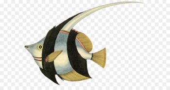 Angelfish Tropical fish Goldfish Clip art - fish Angelfish Tropical fish Goldfish Clip art - fish
