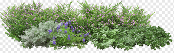 Angels Garden Tree, Grass flowers, green plants, leaf, plant Stem, flower Garden png