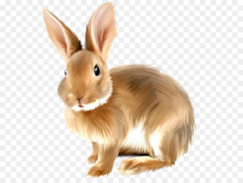 Angora rabbit Easter Bunny Domestic rabbit Hare Angel Bunny - cute animals 