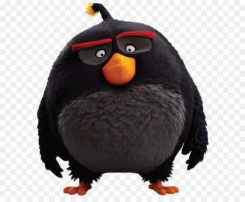 Angry Birds Epic Photog Eva the Birthday Mom Mighty Eagle Film - The Angry Birds Movie Bomb PNG Transparent Image 