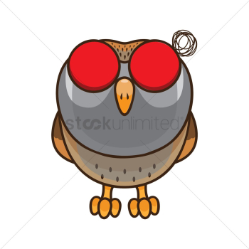 Angry owl Angry owl