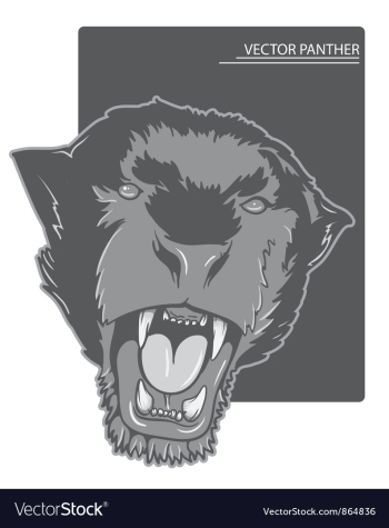 Angry panther vector image