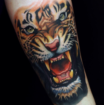 Angry Tiger Face Tattoos On Arm - All Tattoos For-Men