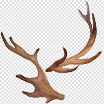 Animal antler illustration, Antler Icon, Hand-painted watercolor antlers transparent background PNG clipart