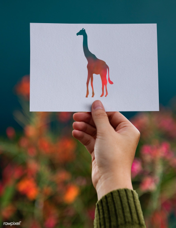 Animal background beauty | Free stock photo - 91565 Animal background beauty | Free stock photo - 91565