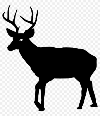 Animal, Buck, Deer, Nature, Silhouette - Deer Silhouette Transparent