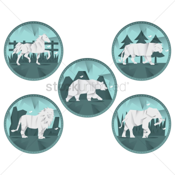 Animal collection Animal collection