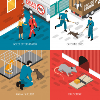 Animal control isometric design concept Free Vector