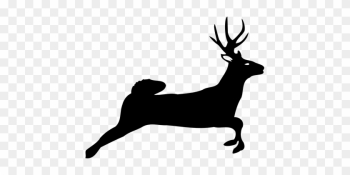 Animal Deer Nature Silhouette Deer Deer De - Deer Jumping Clipart Animal Deer Nature Silhouette Deer Deer De - Deer Jumping Clipart