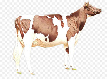 animal figure dairy cow bovine terrestrial animal calf animal figure dairy cow bovine terrestrial animal calf