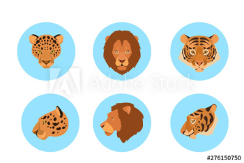 Animal head set Animal head set