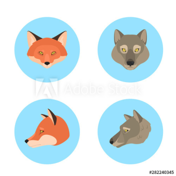 Animal head set Animal head set