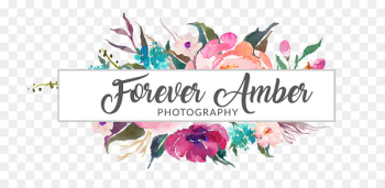 Animal Hospital of Beulaville Calligraphy Art Photographer Photography - amber photography 